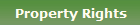 Property Rights